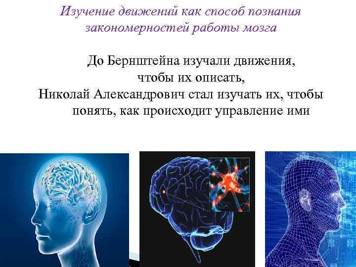 Изучение движений как способ познания закономерностей работы мозга До Бернштейна изучали движения, чтобы их