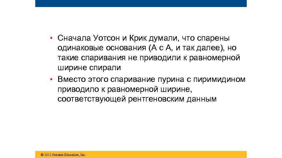  • Сначала Уотсон и Крик думали, что спарены одинаковые основания (A с A,