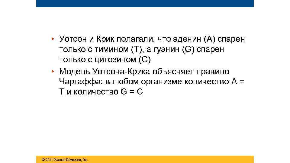  • Уотсон и Крик полагали, что аденин (A) спарен только с тимином (T),