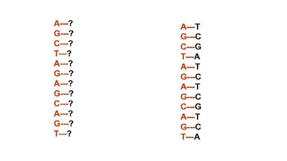 A---T G---C C---G T---A A---T G---C C---G A---T G---C T---A 
