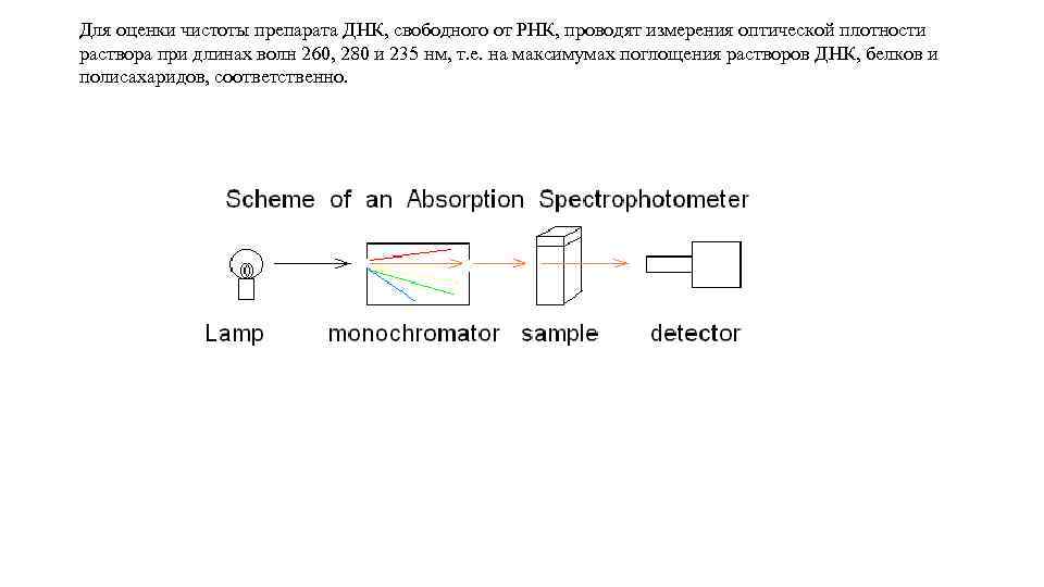 Для оценки чистоты препарата ДНК, свободного от РНК, проводят измерения оптической плотности раствора при