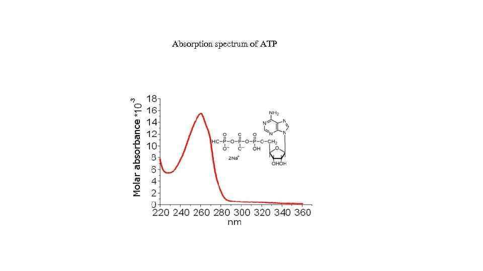 Absorption spectrum of ATP 