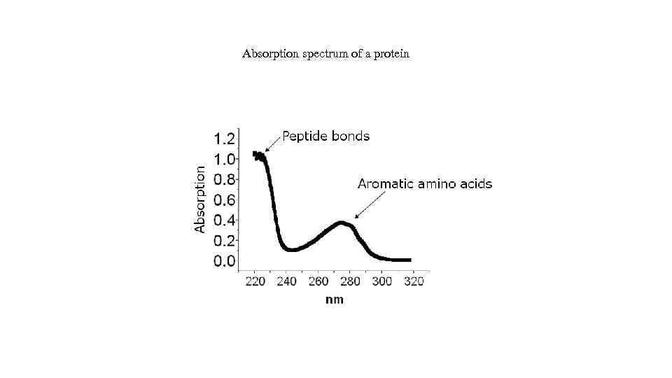 Absorption spectrum of a protein 