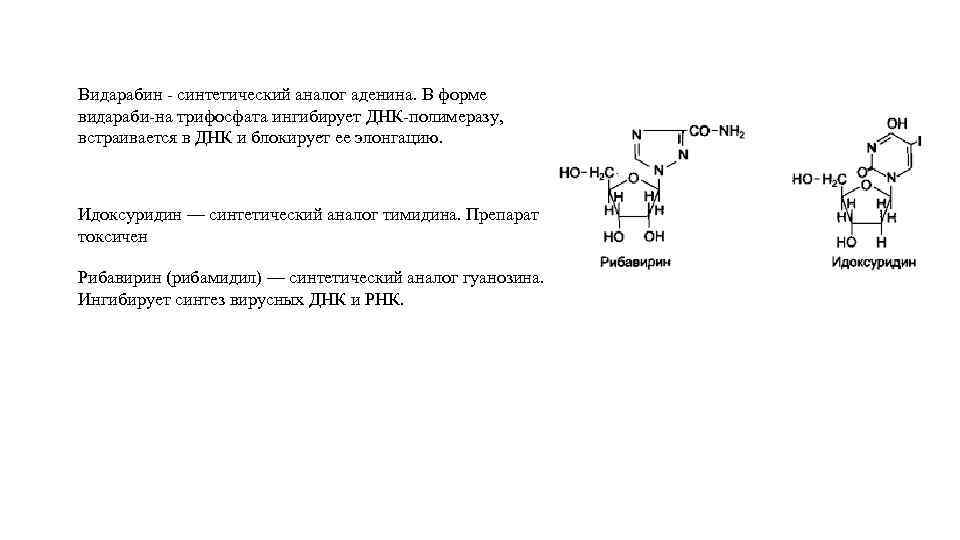 Видарабин - синтетический аналог аденина. В форме видараби-на трифосфата ингибирует ДНК-полимеразу, встраивается в ДНК