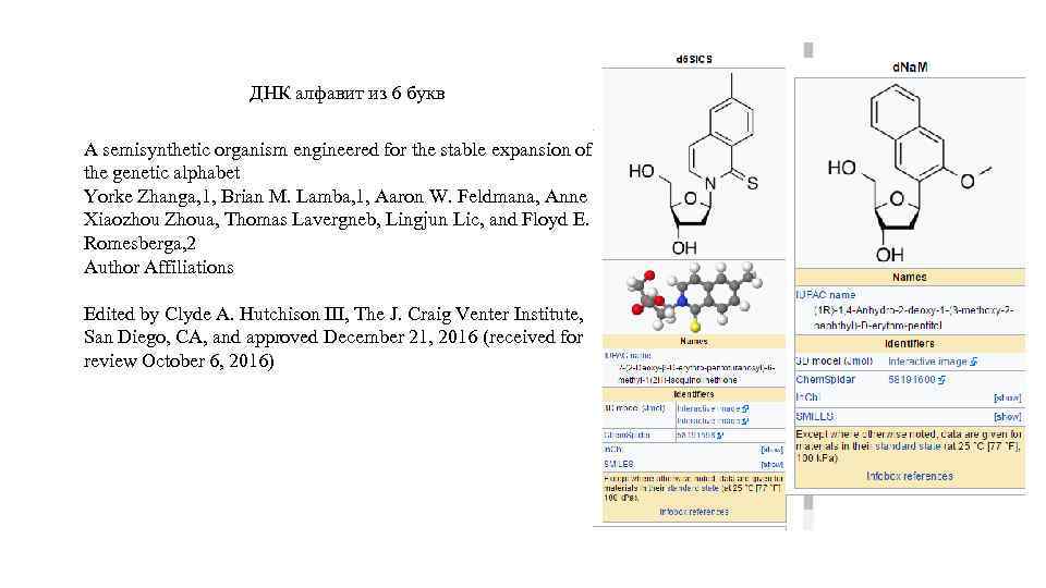 ДНК алфавит из 6 букв A semisynthetic organism engineered for the stable expansion of