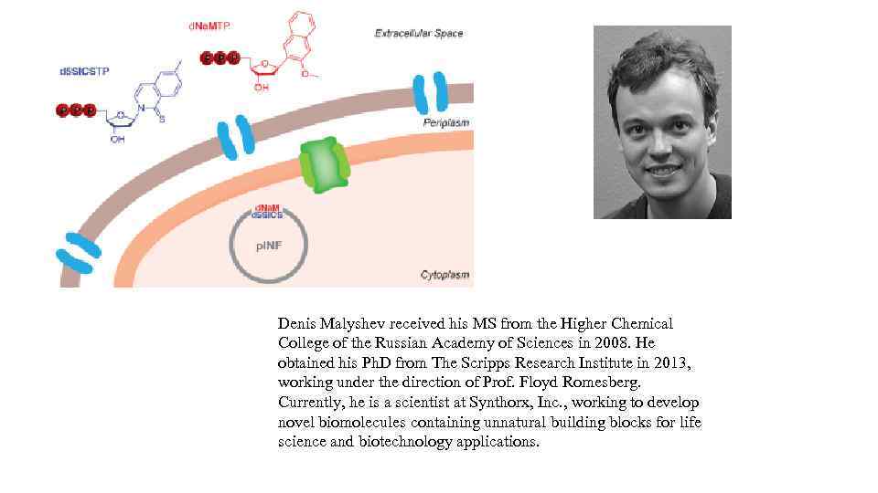 Denis Malyshev received his MS from the Higher Chemical College of the Russian Academy