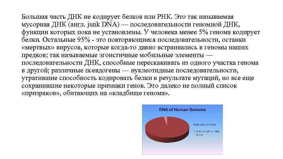 Большая часть ДНК не кодирует белков или РНК. Это так называемая мусорная ДНК (англ.