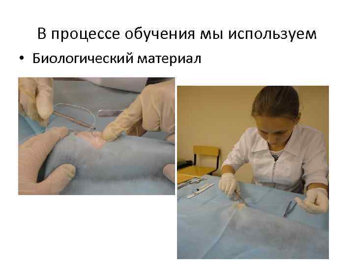 В процессе обучения мы используем • Биологический материал 