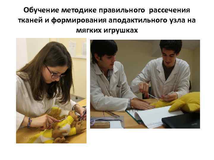 Обучение методике правильного рассечения тканей и формирования аподактильного узла на мягких игрушках 