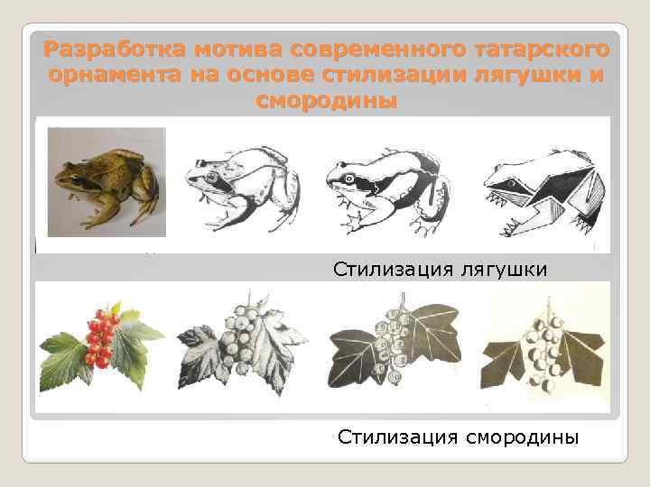 Разработка мотива современного татарского орнамента на основе стилизации лягушки и смородины Стилизация лягушки Стилизация
