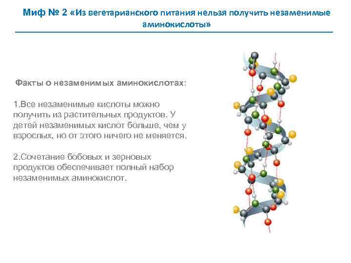 Миф № 2 «Из вегетарианского питания нельзя получить незаменимые аминокислоты» Факты о незаменимых аминокислотах: