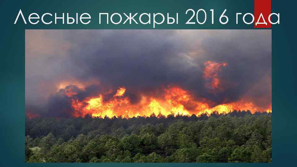 Лесные пожары 2016 года 