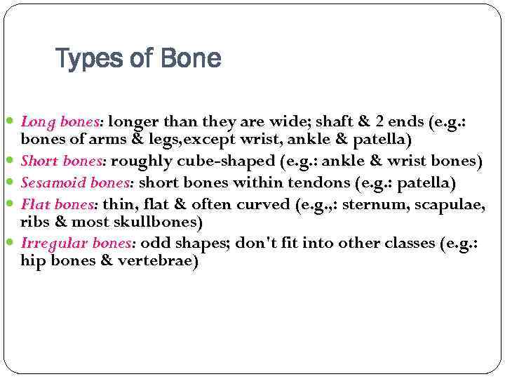 Types of Bone Long bones: longer than they are wide; shaft & 2 ends