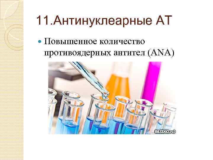 11. Антинуклеарные АТ Повышенное количество противоядерных антител (ANA) 