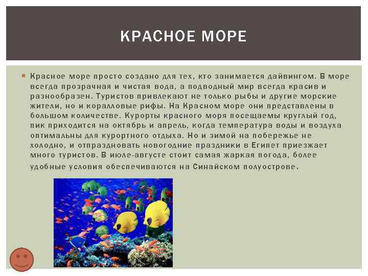 КРАСНОЕ МОРЕ Красное море просто создано для тех, кто занимается дайвингом. В море всегда