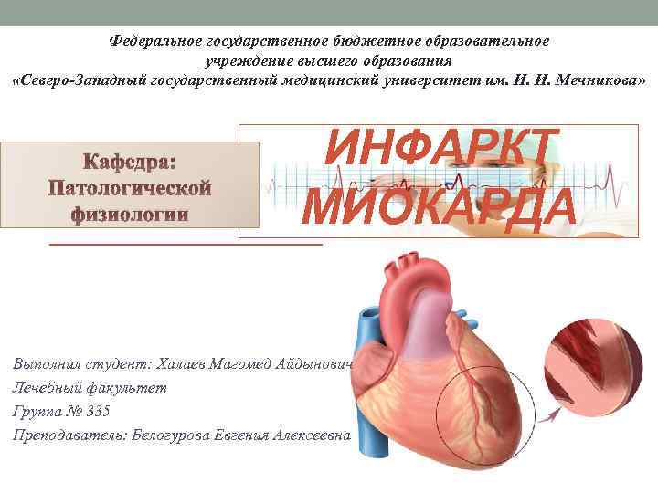 Федеральное государственное бюджетное образовательное учреждение высшего образования «Северо-Западный государственный медицинский университет им. И. И.