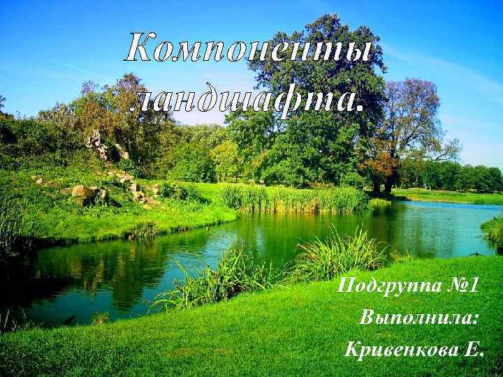 Компоненты ландшафта. Подгруппа № 1 Выполнила: Кривенкова Е. 