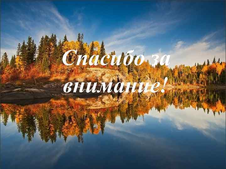 Спасибо за внимание! 