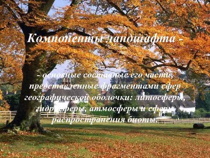 Компоненты ландшафта - основные составные его части, представленные фрагментами сфер географической оболочки: литосферы, гидросферы,