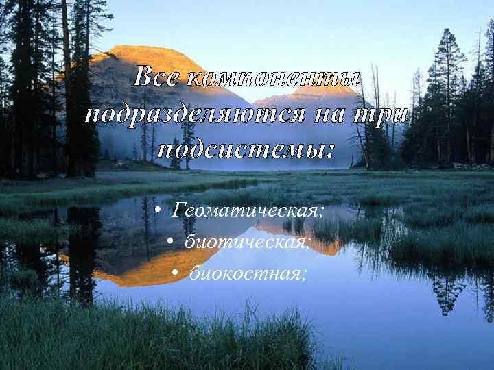 Все компоненты подразделяются на три подсистемы: • Геоматическая; • биокостная; 