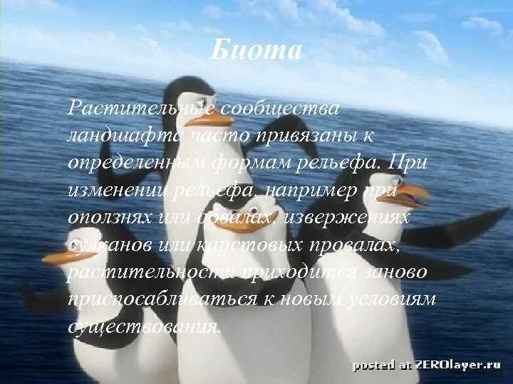 Биота Растительные сообщества ландшафта часто привязаны к определенным формам рельефа. При изменении рельефа, например