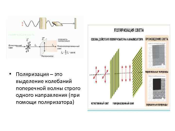  • Поляризация – это выделение колебаний поперечной волны строго одного направления (при помощи