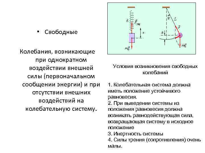 Исследование свободных колебаний