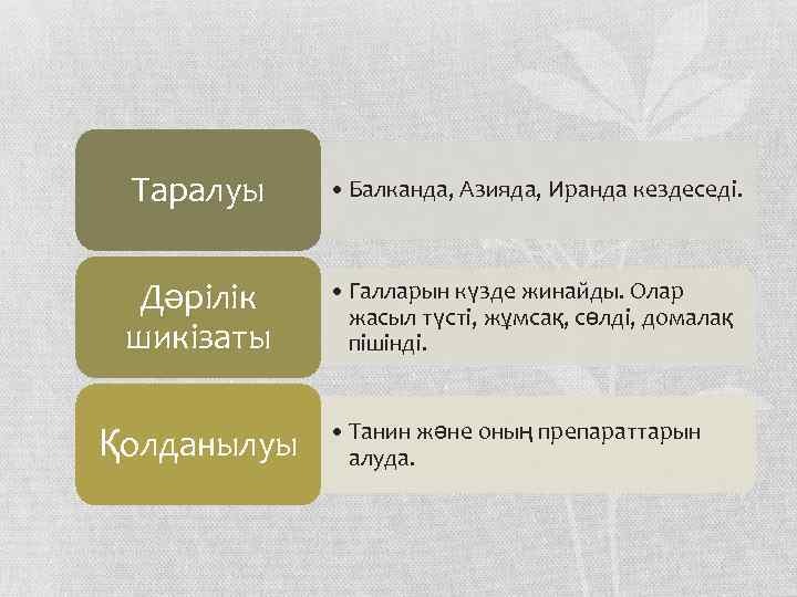 Таралуы • Балканда, Азияда, Иранда кездеседі. Дәрілік шикізаты • Галларын күзде жинайды. Олар жасыл