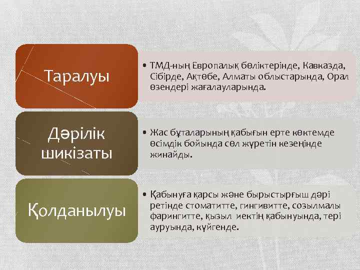 Таралуы Дәрілік шикізаты Қолданылуы • ТМД-ның Европалық бөліктерінде, Кавказда, Сібірде, Ақтөбе, Алматы облыстарында, Орал