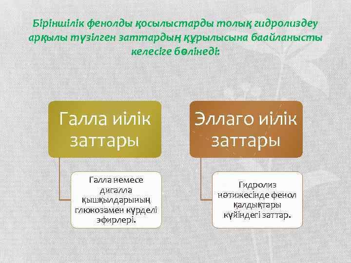 Біріншілік фенолды қосылыстарды толық гидролиздеу арқылы түзілген заттардың құрылысына баайланысты келесіге бөлінеді: Галла иілік