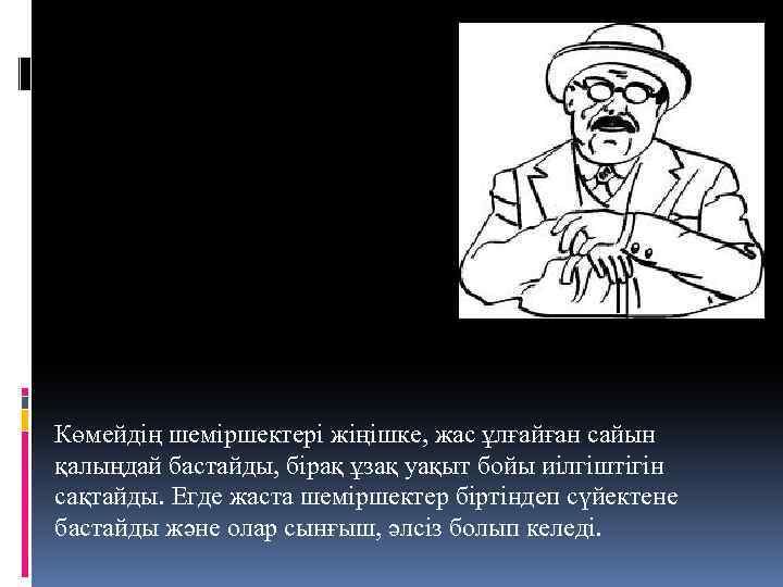 Көмейдің шеміршектері жіңішке, жас ұлғайған сайын қалыңдай бастайды, бірақ ұзақ уақыт бойы иілгіштігін сақтайды.