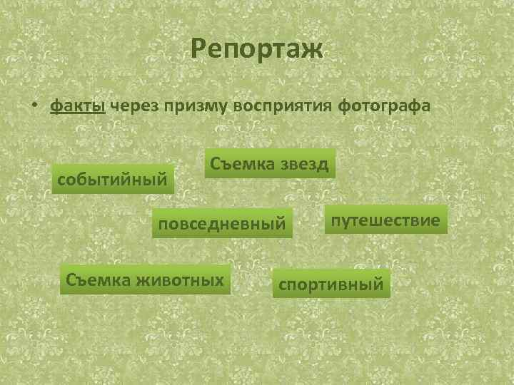Репортаж • факты через призму восприятия фотографа событийный Съемка звезд повседневный Съемка животных путешествие