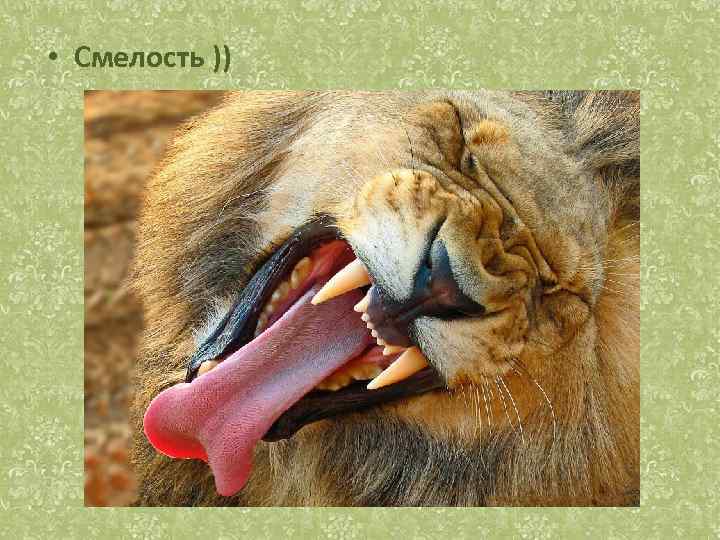  • Смелость )) 