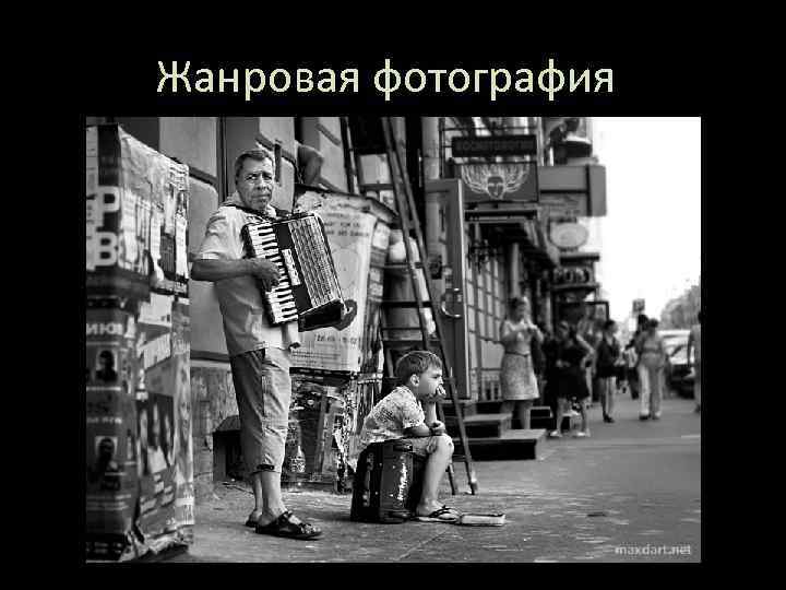 Жанровая фотография 