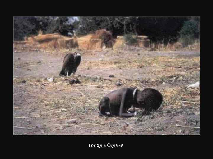 Голод в Судане 