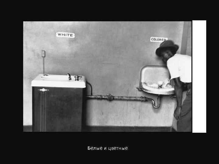 Белые и цветные 