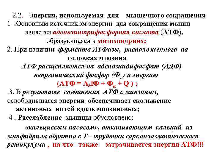 2. 2. Энергия, используемая для мышечного сокращения 1. Основным источником энергии для сокращения мышц