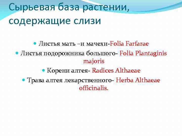 Сырьевая база растении, содержащие слизи Листья мать –и мачехи Folia Farfarae Листья подорожника большого