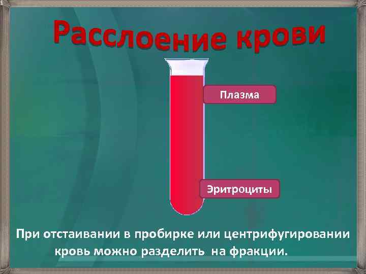 Плазма Эритроциты При отстаивании в пробирке или центрифугировании кровь можно разделить на фракции. 