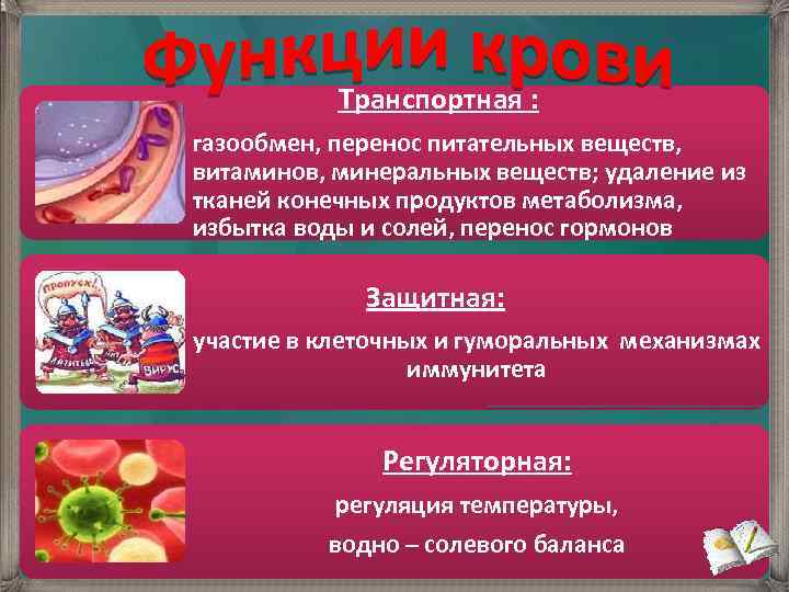  Транспортная : газообмен, перенос питательных веществ, витаминов, минеральных веществ; удаление из тканей конечных