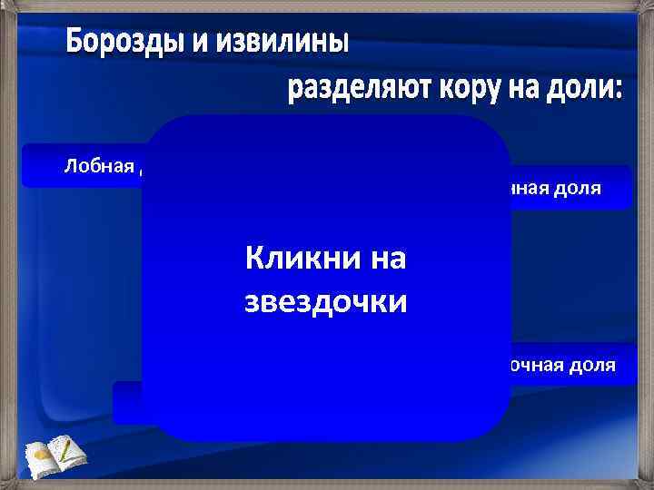 Лобная доля Теменная доля Кликни на звездочки Затылочная доля Височная доля 