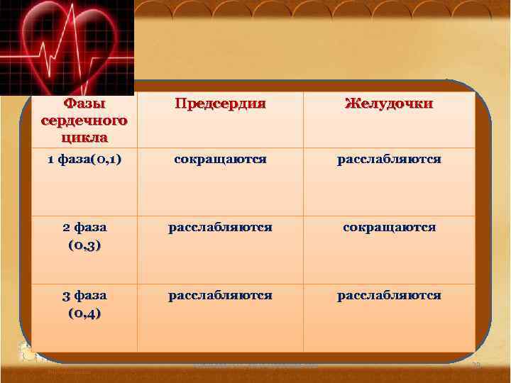 Фазы сердечного цикла Предсердия Желудочки 1 фаза(0, 1) сокращаются расслабляются 2 фаза (0, 3)