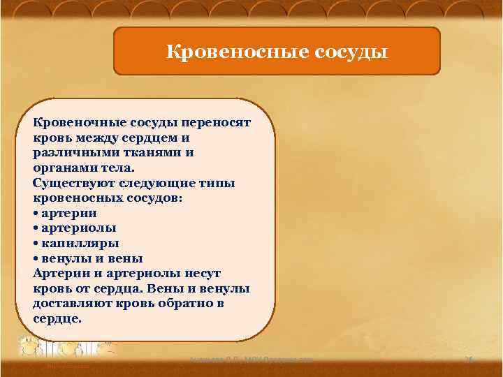 Кровеносные сосуды Кровеночные сосуды переносят кровь между сердцем и различными тканями и органами тела.