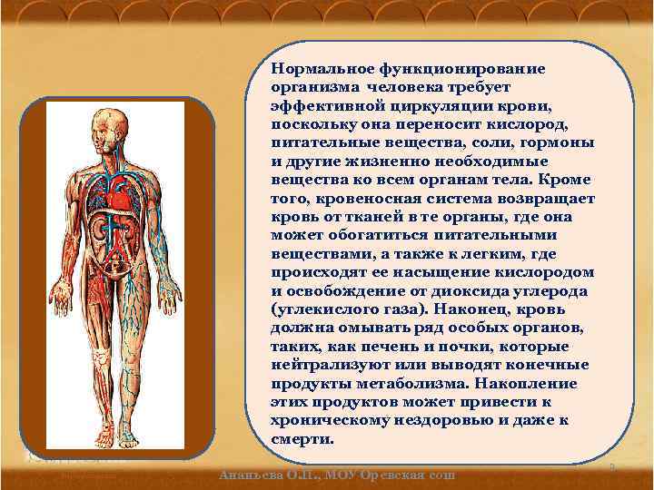 Нормальное функционирование организма человека требует эффективной циркуляции крови, поскольку она переносит кислород, питательные вещества,