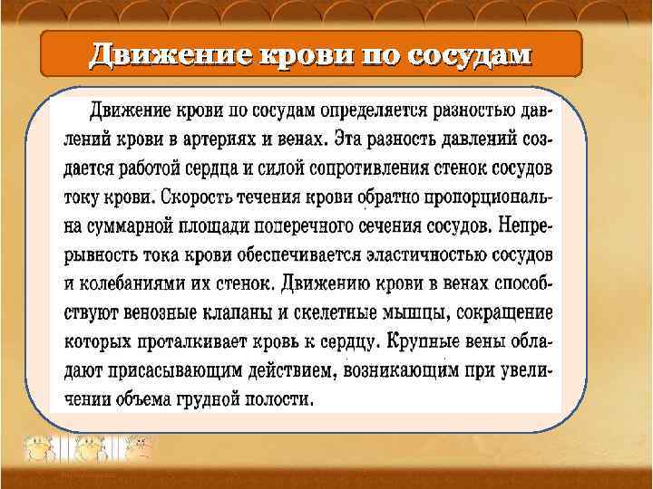Движение крови по сосудам Ананьева О. П. , МОУ Оревская сош 30 