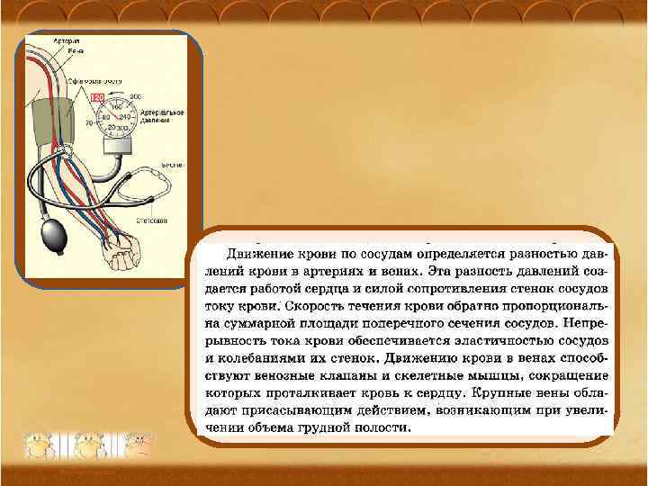Ананьева О. П. , МОУ Оревская сош 31 