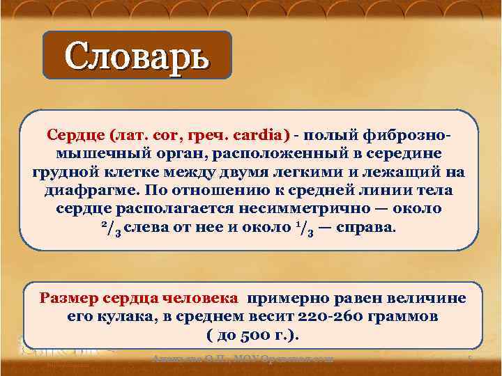 Словарь Сердце (лат. соr, греч. cardia) - полый фиброзномышечный орган, расположенный в середине грудной
