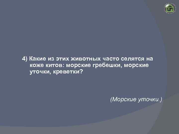 4) Какие из этих животных часто селятся на коже китов: морские гребешки, морские уточки,