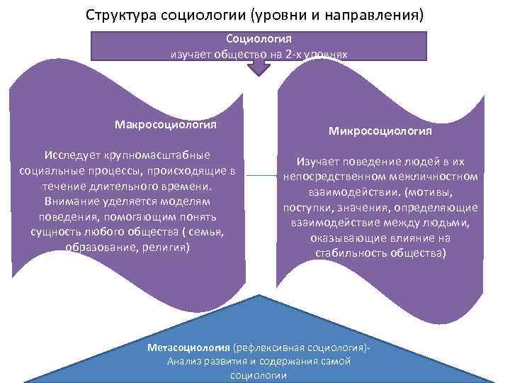 Структура социологии (уровни и направления) Социология изучает общество на 2 -х уровнях Макросоциология Исследует