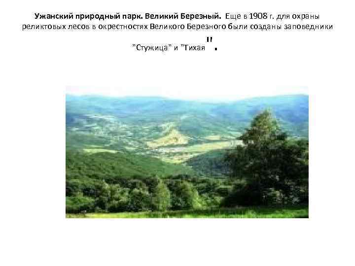 Ужанский природный парк. Великий Березный. Еще в 1908 г. для охраны реликтовых лесов в